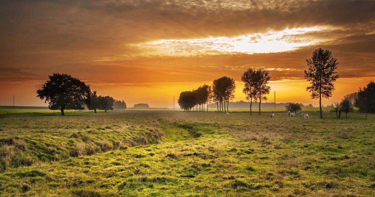Read more about the article The Treasure Act 1996: What Every UK Detectorist Must Know